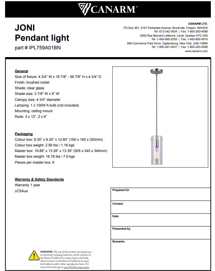 Joni 1-Light Mini Pendant